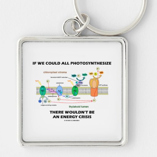If We Could All Photosynthesize Wouldn't Be Energy Keychains