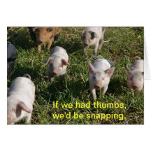 If We Had Thumbs Card
