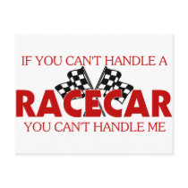 If You Can't Handle A Racecar...