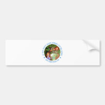 If you don't know where you're going, any path bumper sticker