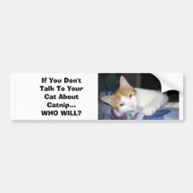 If You Don't Talk To Your Cat About Catnip Bumper Stickers