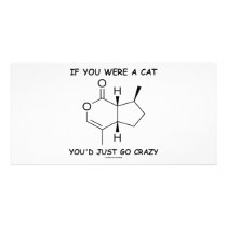 If You Were A Cat You'd Just Go Crazy Photo Greeting Card
