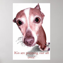 Iggy Pop Print