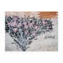 iGrow Postcard