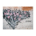 iGrow postcards