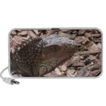 Iguana Doodle Speaker