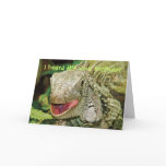 Iguana funny birthday