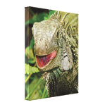 Iguana green close up reptile canvas print