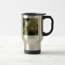 Iguana green mugs