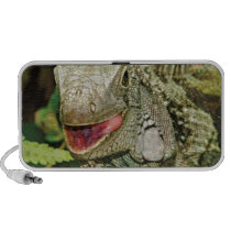 Iguana Green Mini Speakers