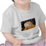 Iguana iguana tee shirts