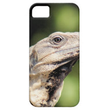 Iguana looking at you case for the iPhone 5