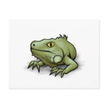 Iguana postcards