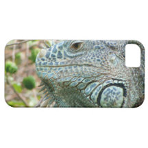 Iguana Profile iPhone 5 Cover