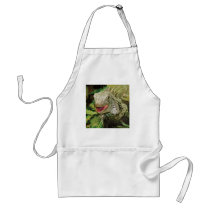 Iguanas Aprons