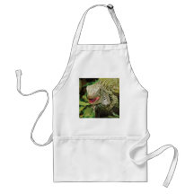 Iguanas Aprons