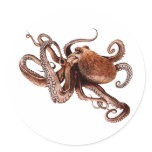 Iker The Octopus stickers