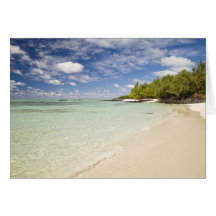 Ile Aux Cerf, most popular day trip for 2 Greeting Cards