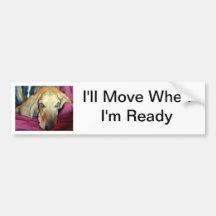 I'll Move When I'm Ready Bumper Sticker