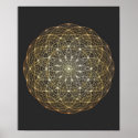 illia Sonqo posters