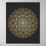 illia Sonqo Posters