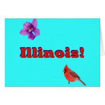 Illinois State Cards