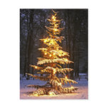 Illuminated snowy christmas tree in the woods at n postcard