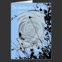 Illusions Abstract cards