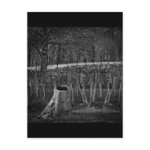 illusions post cards