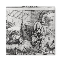 Illustration for 'The Dog and the Ox' Magnets