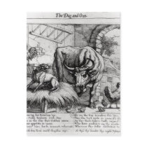 Illustration for 'The Dog and the Ox' Postcard