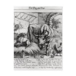 Illustration for 'The Dog and the Ox' postcards