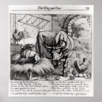 Illustration for 'The Dog and the Ox' Print