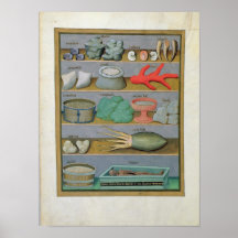 Illustration from the 'Book of Simple Medicines' Print