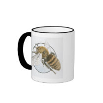 Illustration of European Honey Bee Mugs