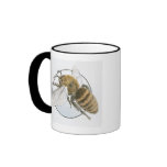 Illustration of European Honey Bee mugs