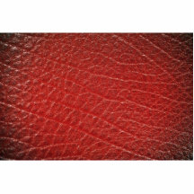 Illustrative Red leather texture Cut Out