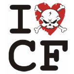 IloveCF t-shirts