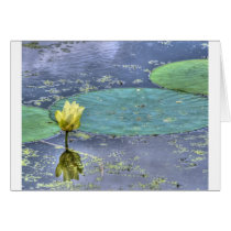 Ilupe Greeting Card