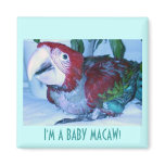 I'M A BABY MACAW! magnets