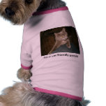 I'm a cat friendly pooch! doggie t-shirt