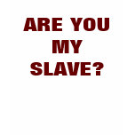 I'M A DOMME.............. t-shirts