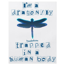 I'm a Dragonfly