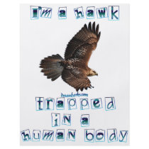 I'm a Hawk