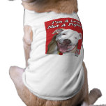 I'm a Lover not a Fighter pet clothing