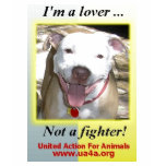 I'm a Lover not a Fighter! t-shirts
