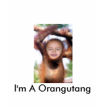 I'm A Orangutang t-shirts