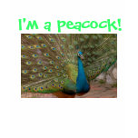 I'm a peacock! t-shirts