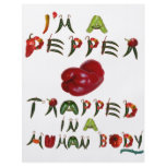 I'm a Pepper II Custom Flyer