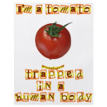 I'm a Tomato . . . flyers